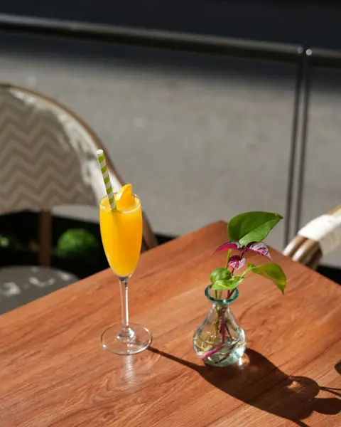 Mimosa